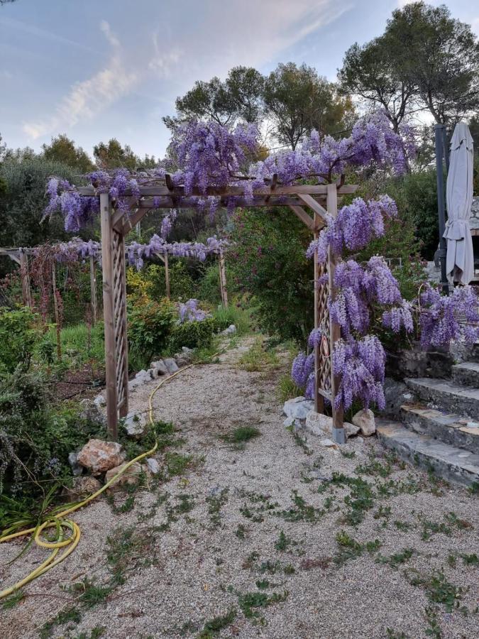 Mas D'Azur Bed and Breakfast Roquefort-les-Pins Exterior foto